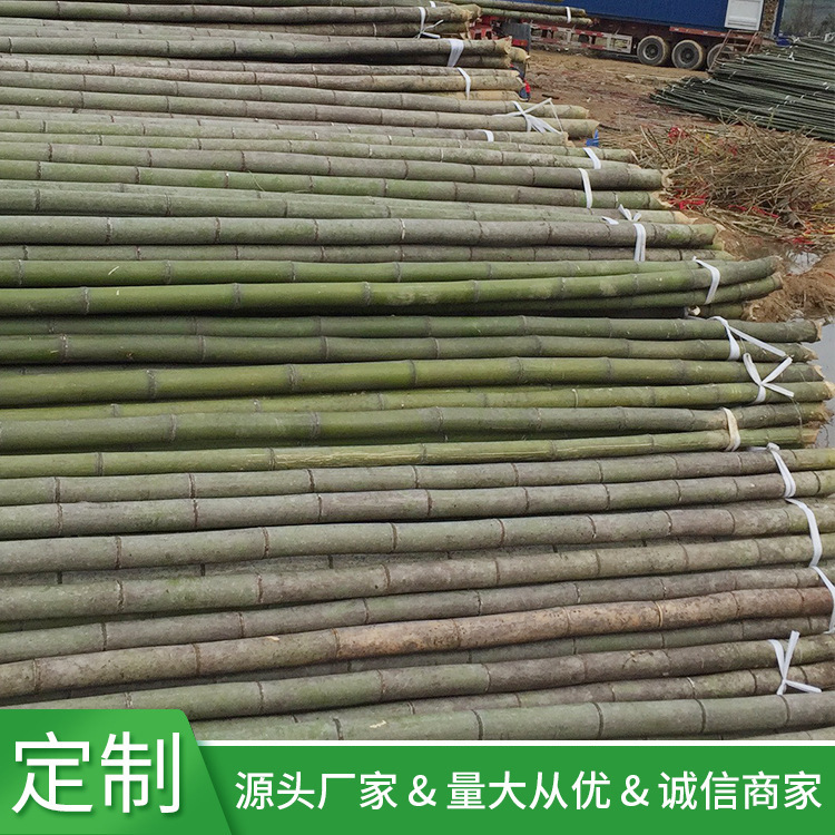 产地源头厂家外贸长竹竿农用搭架扣棚竹子水产养殖种植大竹竿|ru