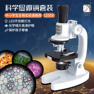 Learning Youma Desktop Scientific Microscope suit Primary School Students' Biological Experimental Optics 2400X Professional Chenghai Toys