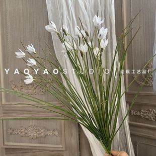 ���滨���ϻ��[�m�� ���[��  �GɫСֲ���~�Ӳ廨��� ��ˇ�쾰