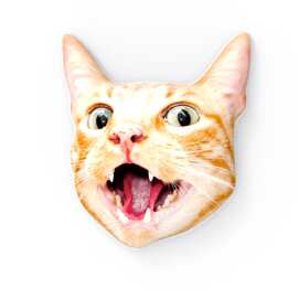 猫咪纪念礼品提供高清图片定 制抱枕宠物爱好者礼物POD一件定 制