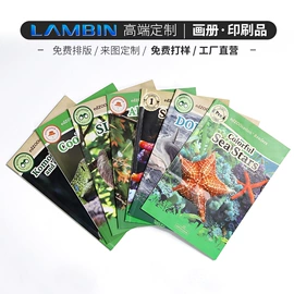 其他礼品包装;纸盒;茶叶包装