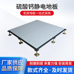 硫酸カルシウム帯電防止フロア 600600 弱電源室監視室用高架帯電防止可動床