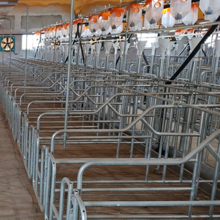 2025-03-26 09:58:45.jpg