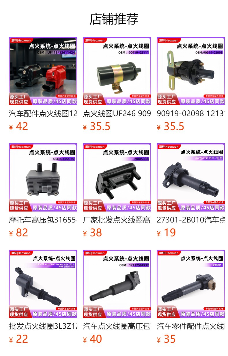 Ignition Coil 8m0079202 392-805570A2 392-805570A1 Compatible with Mgm Thor