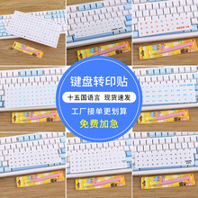 通用键盘贴按键贴字母贴笔记本键盘键帽十五国语言转印贴批发贴纸