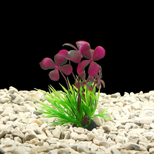 ~׷~ˮ쾰ˮbٲϲݷֲﾰ^ϻ[