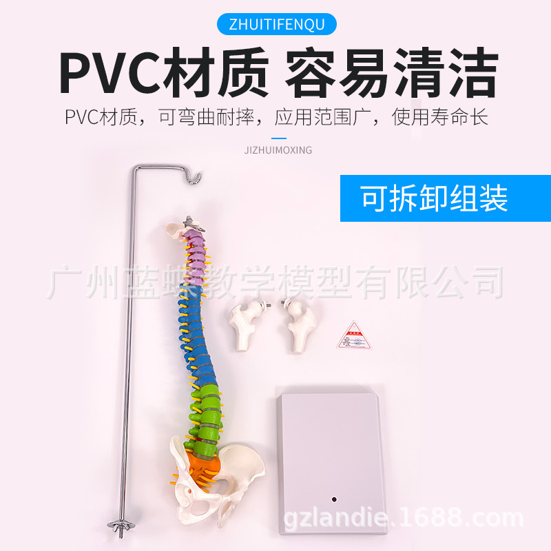 45CM��ɫ���弹׵ģ�ʹ�����ɹ�β�Ǽ���������׵��׵����ģ��