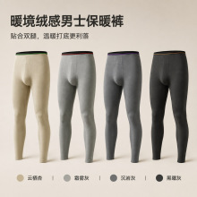 秋裤男款打底衬裤男士薄款2026保暖裤抗菌内穿打底毛线裤秋冬季