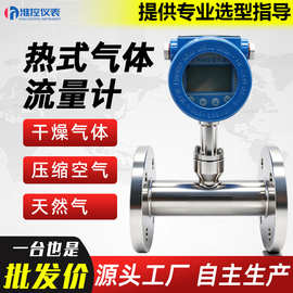 热式气体质量流量计空气风速量氮氧氩氨氢氟插入式数显流量传感器