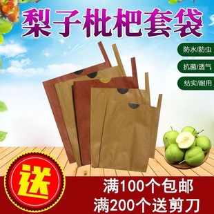 Peach Seed Bag Cover Pear Double-Layer Rain and Insect-Proof Apple Mango Loquat Fruit Pomegranate Protective Bag