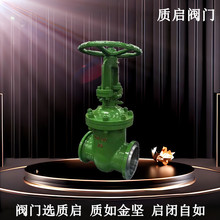 DSZ61H-16C����ʽˮ���l�yȪ���|���l�yϵ���T�ˮ���l�yDN100