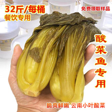 潮汕老坛酸菜鱼餐饮桶装商用脆爽小叶泡酸菜32斤包邮量多价优