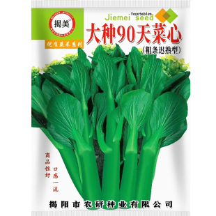 �����o��90��֗l��������ķN�� 20���r�I����ɷN �߲˷N��
