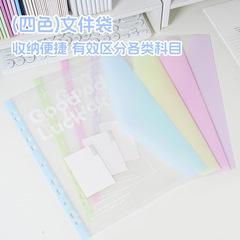 跨境爆款pp魔术贴11孔文件袋A4活页资料袋彩色收纳文件夹工厂批发