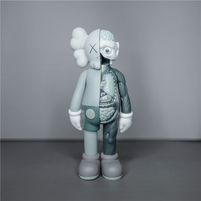 半解剖灰-20cm