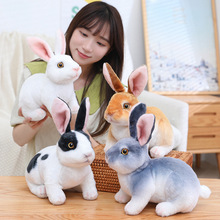 �羳�����Q�������ӹ���ë�q��߿ɐ�������ż���ރ�ͯ�����նY��