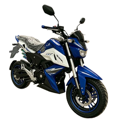 Suitable for Multiple People in Africa, Motosikletlər