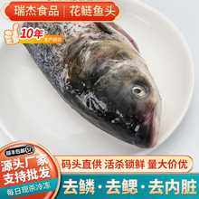新鲜现杀胖头鱼头花鲢去鳞去鳃去内脏源头水产厂家量大价优鲜活