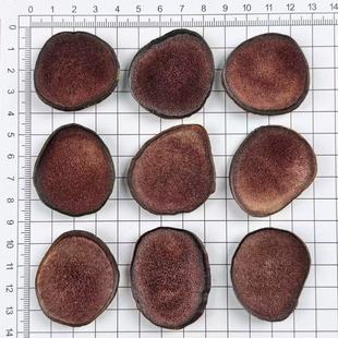 ��Ʒ����¹��Ƭ�t��Ƭ��ɹ��|Ƭ��ɳƬ�ͶY�ݾ��Ҝ���ˮ�B��