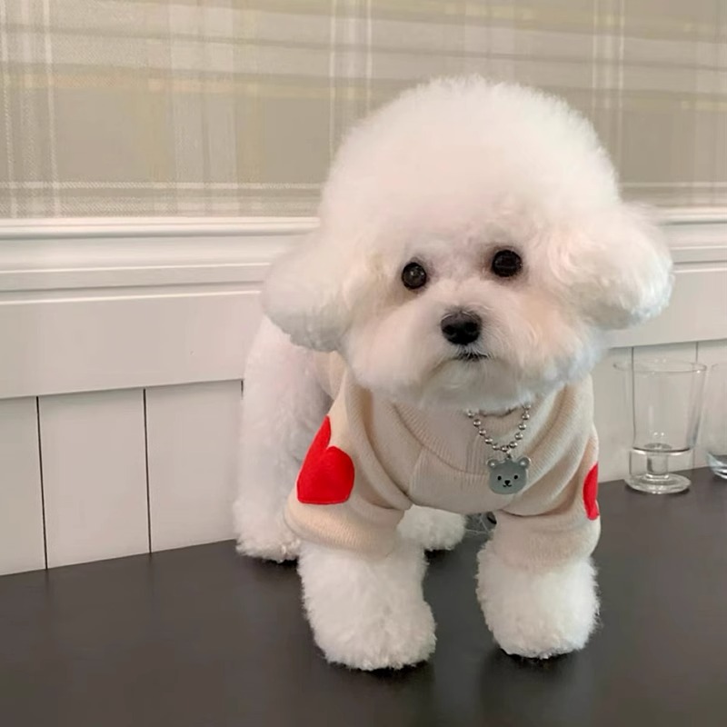 Color sólido corazón rojo amor pegatinas camiseta de base para perros pequeños dos pies de manga larga ropa de mascotas perros al por mayor