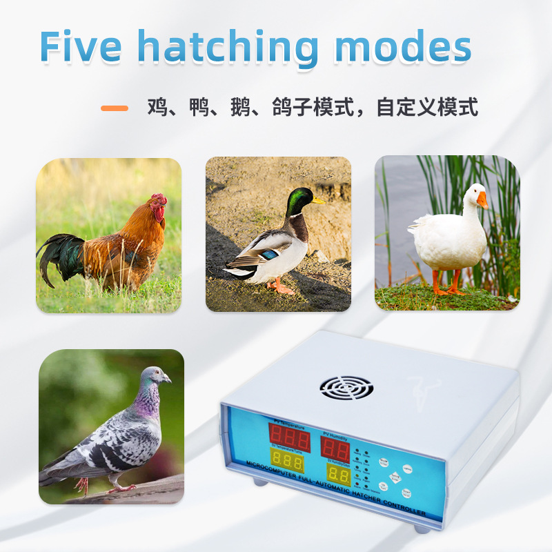 Incubadora externa grande XM18K-1 controlador inteligente controlador de temperatura y humedad microordenador incubación Accesorios