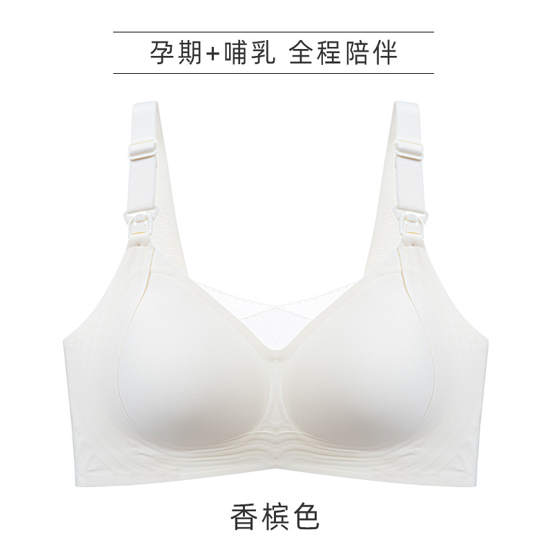 샴페인
