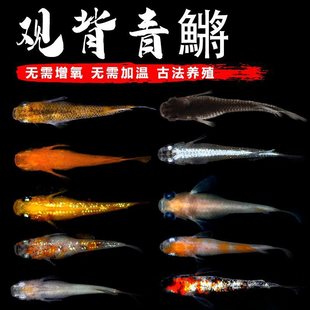 �^�����F�~������ħ���~��ˮ�ͻ���B�^�p�~С�͵�ˮ�~�ѻ��wȺ��