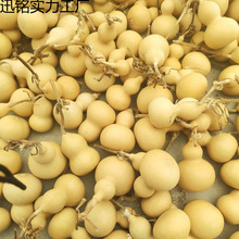 ?�S�����l С�������J  �������J  �������Jͨ؛4��7����