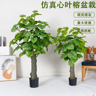 �������~�ű��W�L�����Ř���������پGֲ�쾰�҃����b���ֲ��