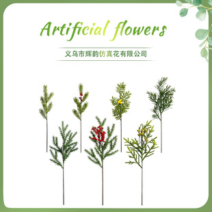 �羳��Ʒ�}�Q���b���� �W���ҾӲ����廨�}�Q�t��7��������