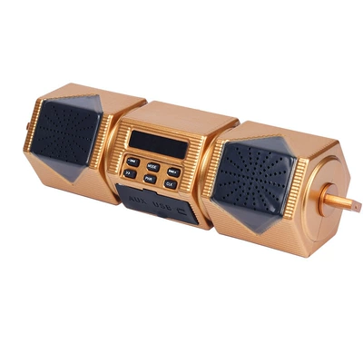 Modified Mp3, Car speaker/subwoofer