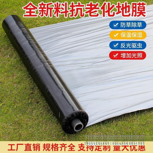 Agricultural Thickened Silver and Black Two-Color Reflective Mulch Film for Weeding, Insulation, Weed Prevention, Planting, and Insect-Proof Plastic Film