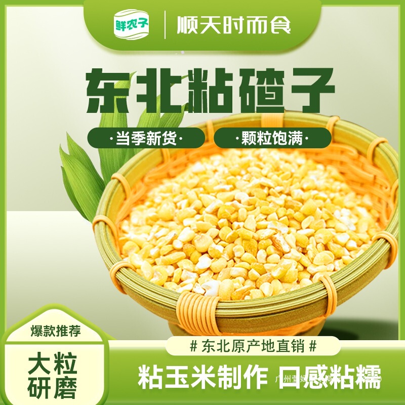 东北粘碴子软糯大碴子健康天然粘苞米玉米糁粘大碴子黏玉米黄黏碴|undefined