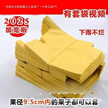 桃子套袋袋水蜜桃冬桃蟠桃黄桃网袋防虫防鸟水果树纸袋子