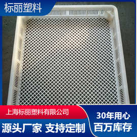厂家直销    豆制品塑料周转筐 豆腐乳匾 豆腐乳方盘 量大优惠