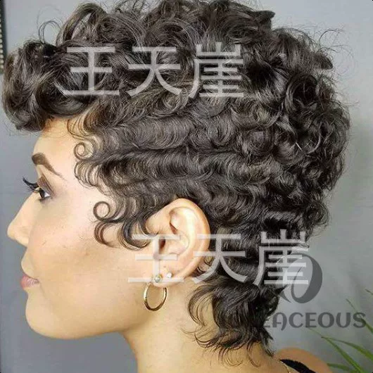 Cross-border best-selling African wigs, European and American wigs, women's small curly wigs, synthetic fiber headgear, manufacturer's stock wholesale