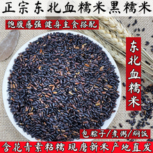 东北黑糯米新米血糯米5斤杂粮粥原料黏糯黑米粘紫米包粽子江米饭