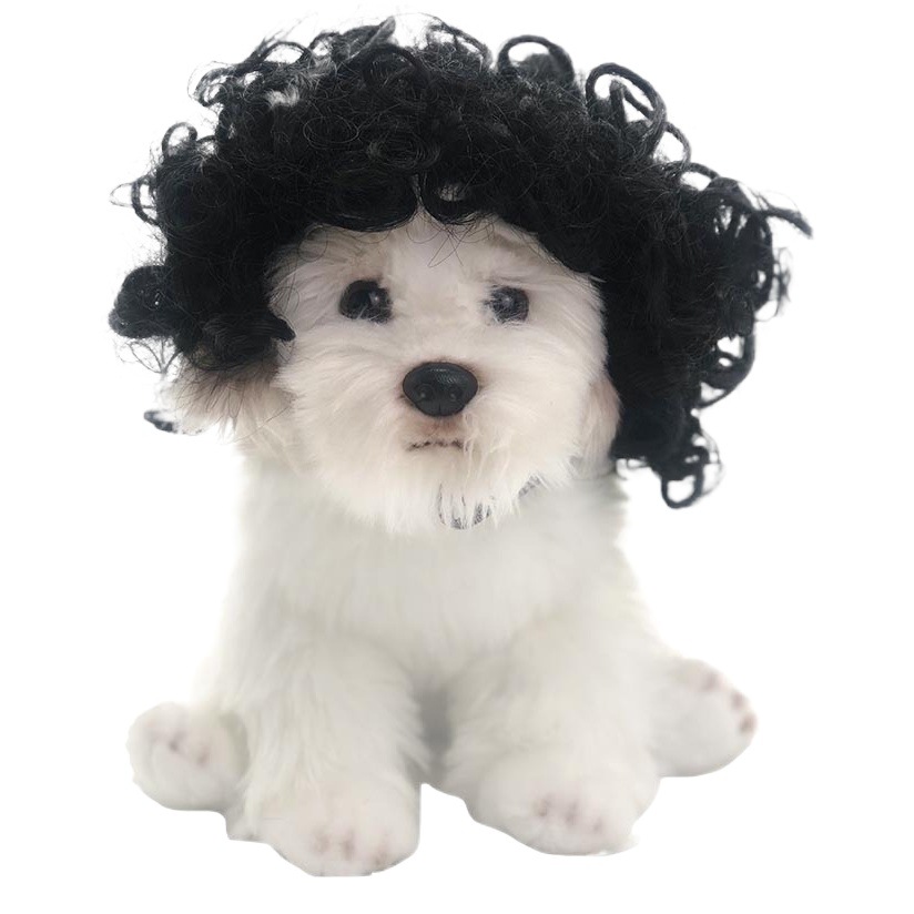 Venta directa de fábrica Pelucas para mascotas transfronterizas, pelucas para perros, accesorios para mascotas de Halloween, cabello rizado