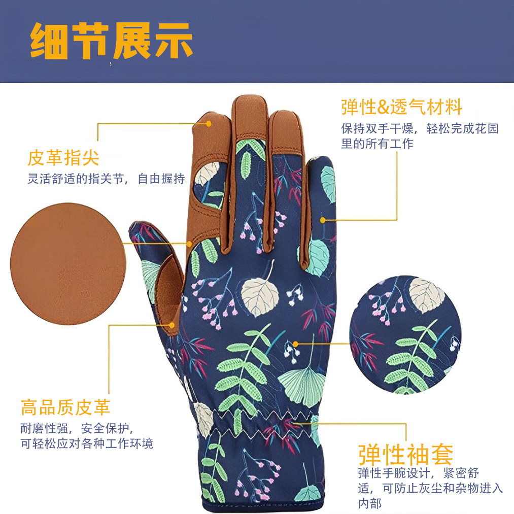 中文