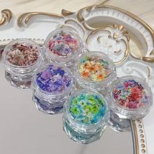 日系美甲吸色小碎花干花押花DIY花艺材料网红美甲花材指甲配件