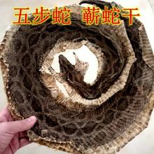 养殖正品蕲蛇五步蛇干八步蛇百步蛇干泡酒料 整只棋盘蛇50克包邮