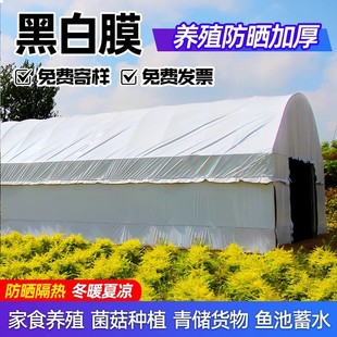 Greenhouse Breeding Black and White Film Thickeneded Reflective Insulation Drip-Free Film Edible Fungi Green and White Film Plastic Cloth Large Quantity Discount