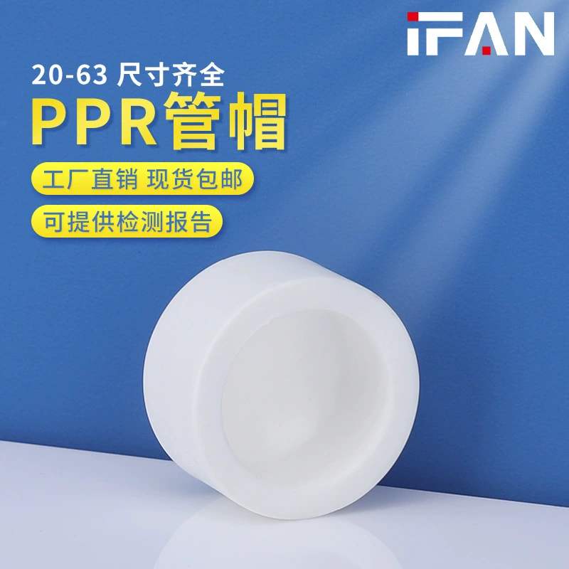 Украшение дома оптом Белый PPR крышка трубы водопроводная вода горячего расплава трубы заглушка 6 точек 25 крышка трубы заглушка соединения аксессуары для водопроводных труб