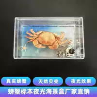 Креативные трехмерные декорации для плавания, 3D, подарок на день рождения, оптом