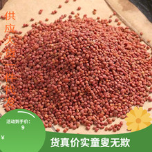 楮实子500g中药材褚实子新货渚实子野生楮实子粉构树籽另售威灵仙