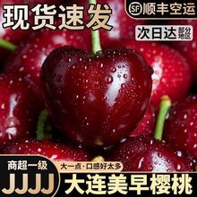 大樱桃大连樱桃美早4j国产车厘子孕妇新鲜水果5j特大顺丰工厂代发