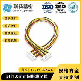 厂家批发SH1.0mm间距端子线电子连接线PCB板线束单双头