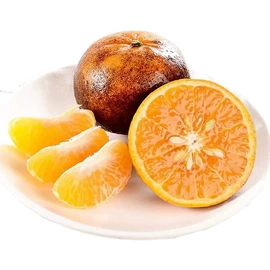 块茎类;苹果;其他水果