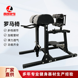 Push-Up Reverse Leg Lift Gym Commercial Heavy-Duty Waist and Abdomen Back Trainer Roman Chair Waist and Abdominal Muscle Stretching and Abdominal Tightening