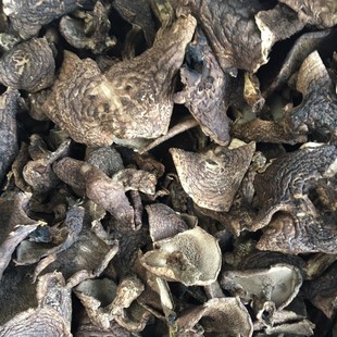 �����C�ӡ��S��ֱ�N���Ұ����Ӿ����ƾ�Ұ��ʳ�þ���؛�F؛����